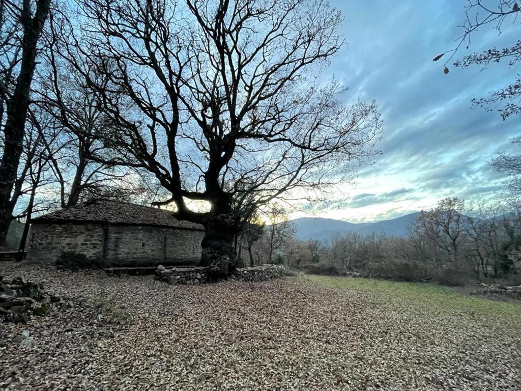 Casa Rural " El Retiro" 拉斯普纳 外观 照片
